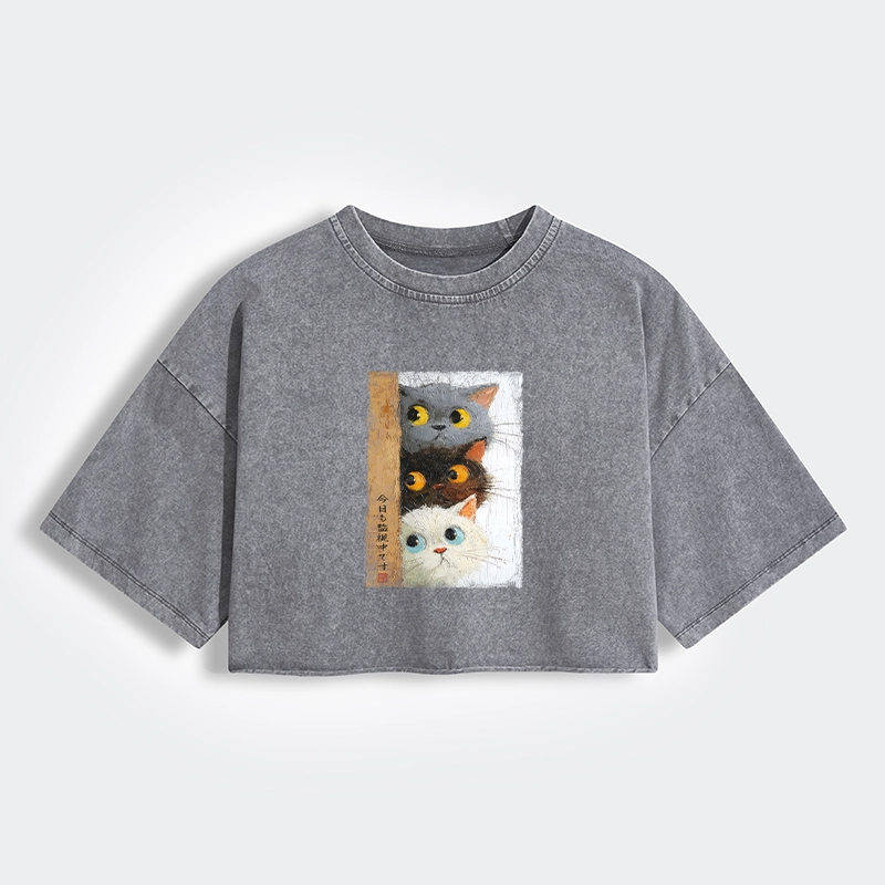 Tokyo-Tiger Three Cute Cats Watch You Women's Washed Crop T-Shirt