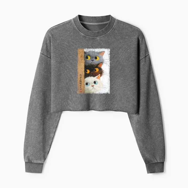 Tokyo-Tiger Three Cute Cats Watch You Washed Crop Sweatshirt