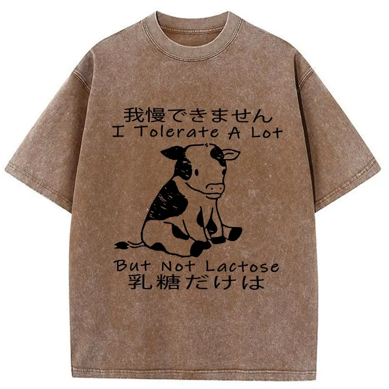 Tokyo-Tiger I Can't Tolerate Lactose Washed T-Shirt Sale