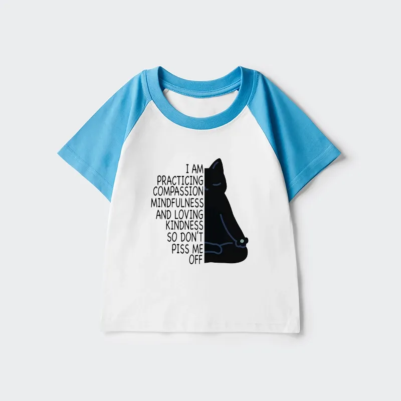 Tokyo-Tiger Calm Black Cat With Anger Issues Kids Raglan T-shirt