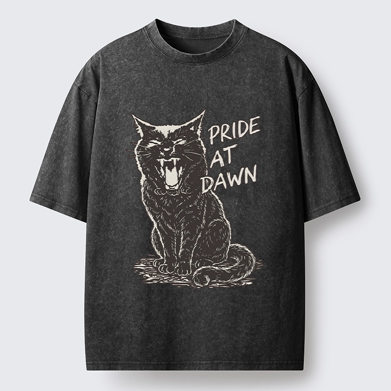 Tokyo-Tiger Cool Black Cat With Pride At Dawn Washed T-Shirt