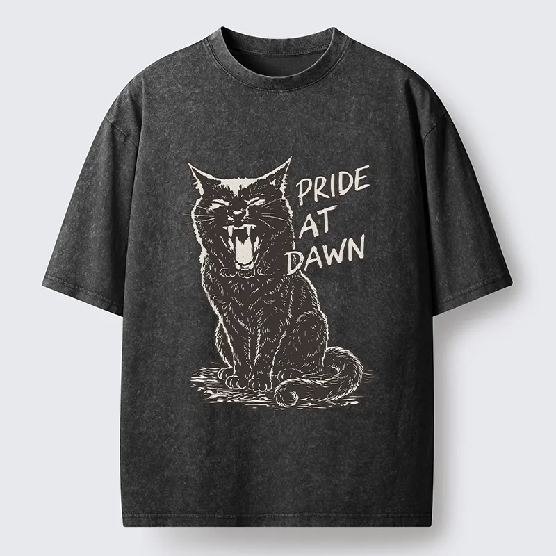 Tokyo-Tiger Cool Black Cat With Pride At Dawn Washed T-Shirt Sale
