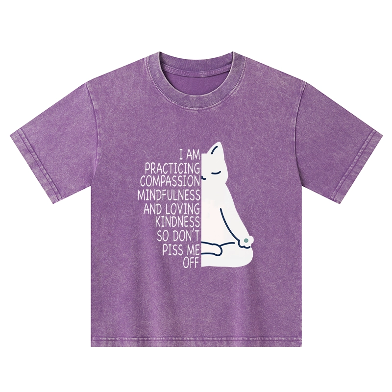 Tokyo-Tiger Calm Black Cat With Anger Issues Kids Washed T-Shirt