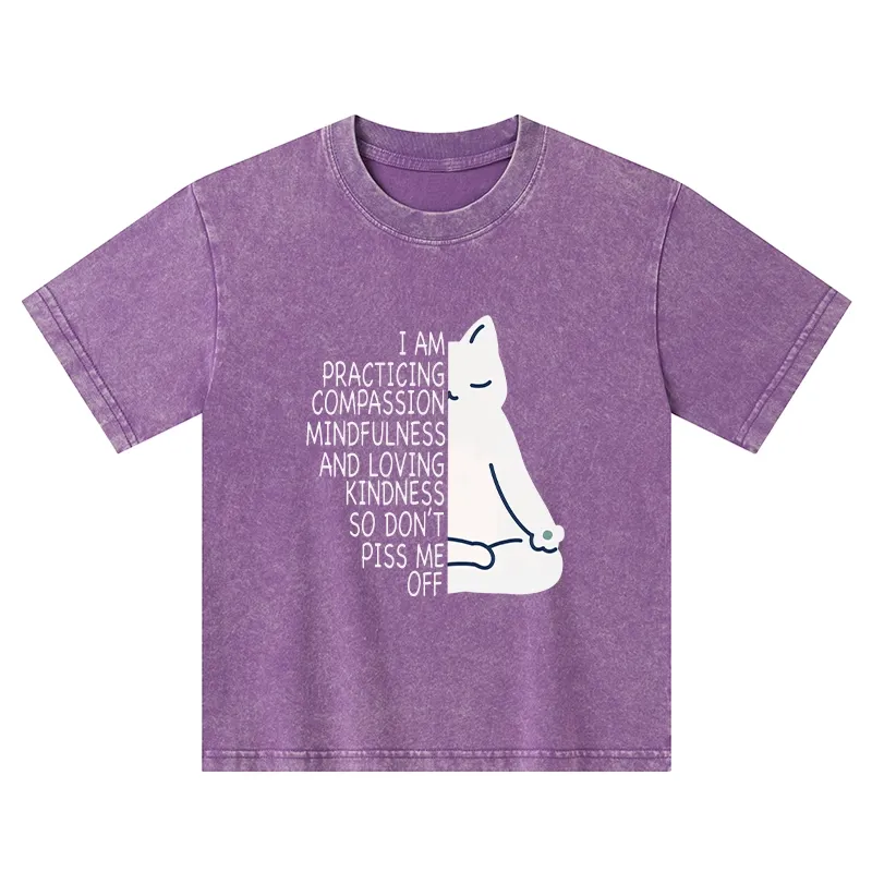 Tokyo-Tiger Calm Black Cat With Anger Issues Kids Washed T-Shirt
