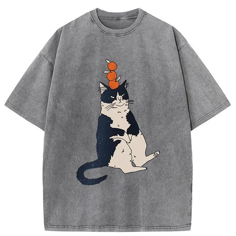 Tokyo-Tiger Cat With Orange On Head Washed T-Shirt