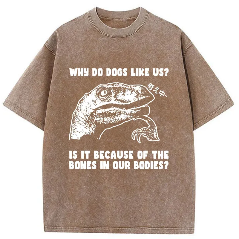 Tokyo-Tiger Thinking Philosoraptor Washed T-Shirt