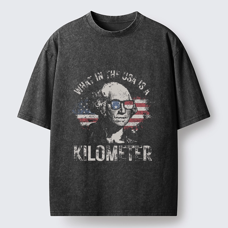 Tokyo-Tiger Patriotic Flag Lens Washington Humor Design Washed T-Shirt