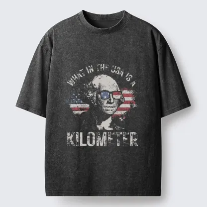 Tokyo-Tiger Patriotic Flag Lens Washington Humor Design Washed T-Shirt