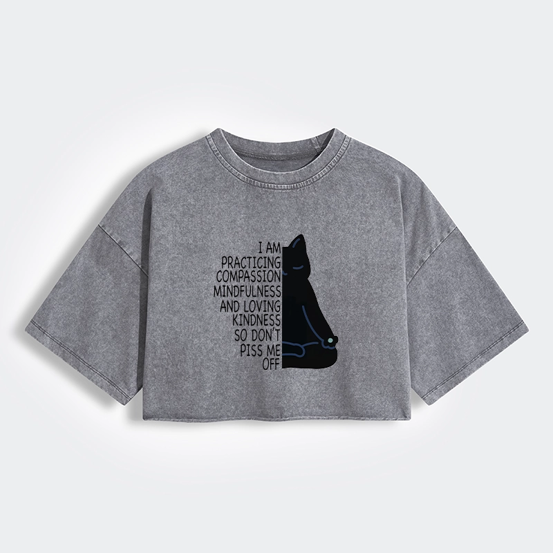 Tokyo-Tiger Calm Black Cat With Anger Issues Women's Washed Crop T-Shirt