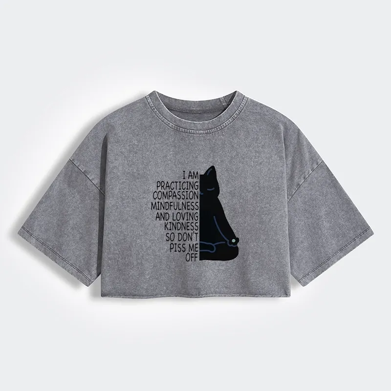 Tokyo-Tiger Calm Black Cat With Anger Issues Women's Washed Crop T-Shirt