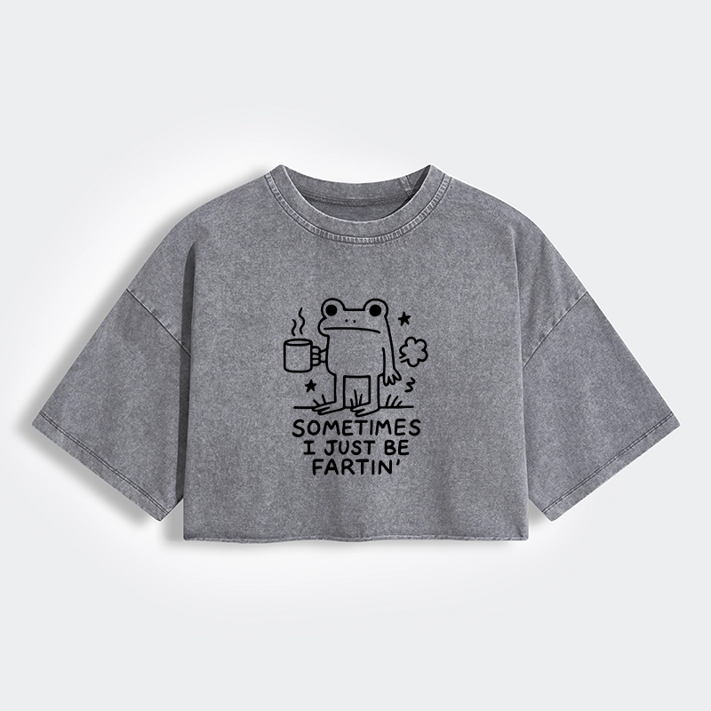 Tokyo-Tiger Sometimes A Frog Just Needs To Fart Women's Washed Crop T-Shirt