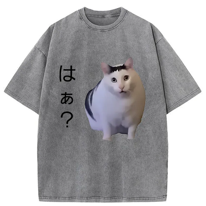 Tokyo-Tiger Suspicious Funny Cat Washed T-Shirt