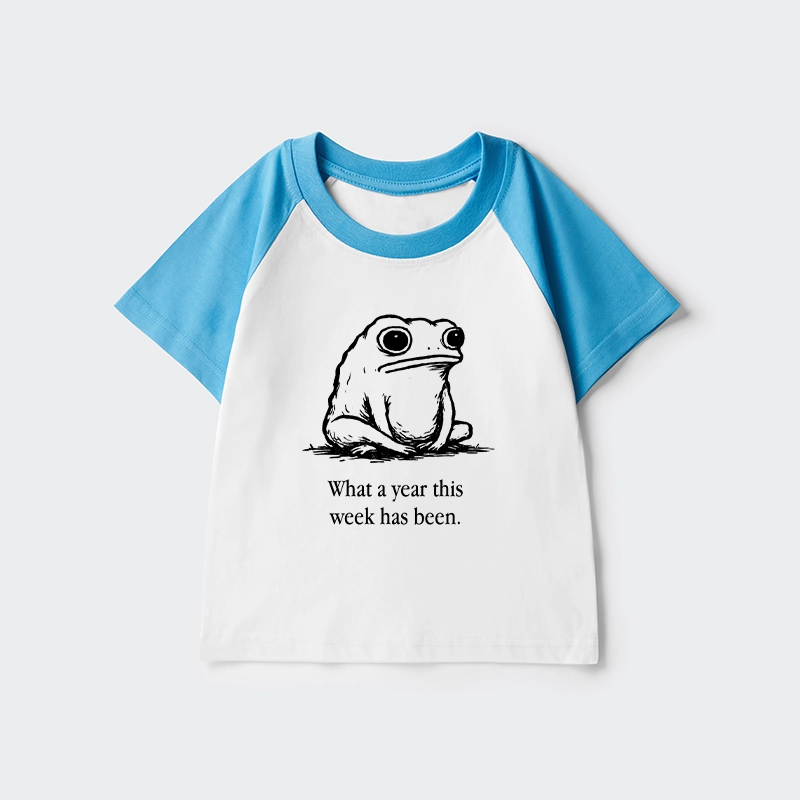 Tokyo-Tiger This Week Feels Like A Whole Year Kids Raglan T-shirt