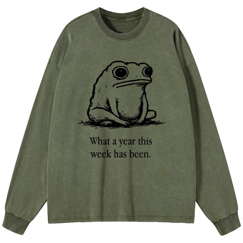 Tokyo-Tiger This Week Feels Like A Whole Year Washed Long Sleeve T-Shirt