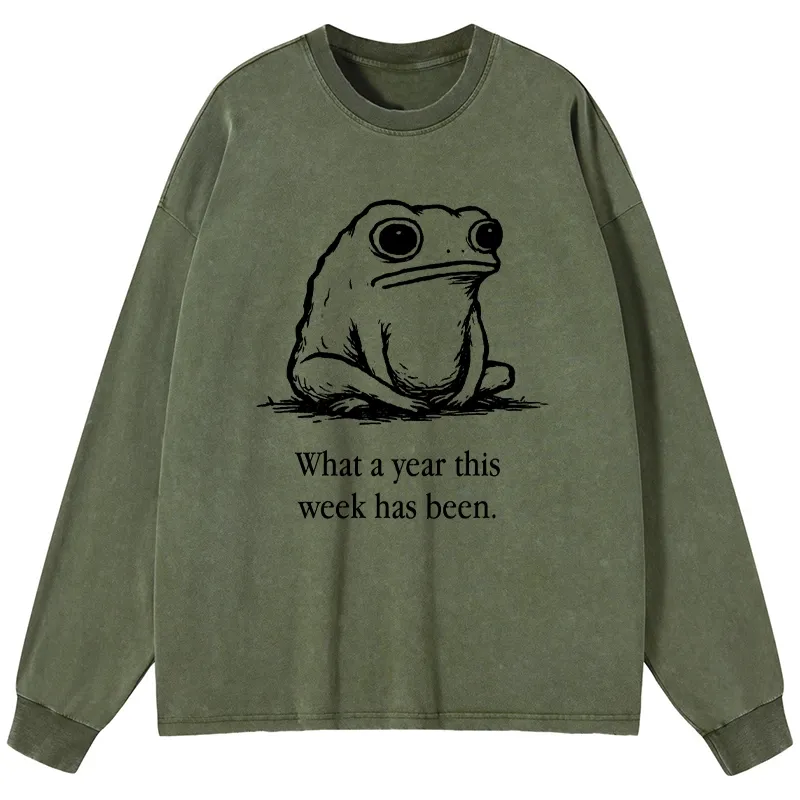 Tokyo-Tiger This Week Feels Like A Whole Year Washed Long Sleeve T-Shirt Sale