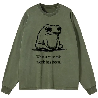Tokyo-Tiger This Week Feels Like A Whole Year Washed Long Sleeve T-Shirt