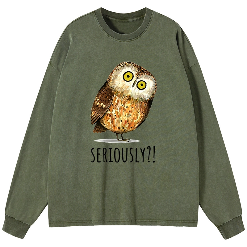 Tokyo-Tiger Seriously Confused Owl Meme Art Washed Long Sleeve T-Shirt