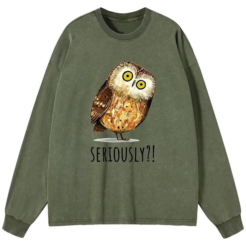 Tokyo-Tiger Seriously Confused Owl Meme Art Washed Long Sleeve T-Shirt