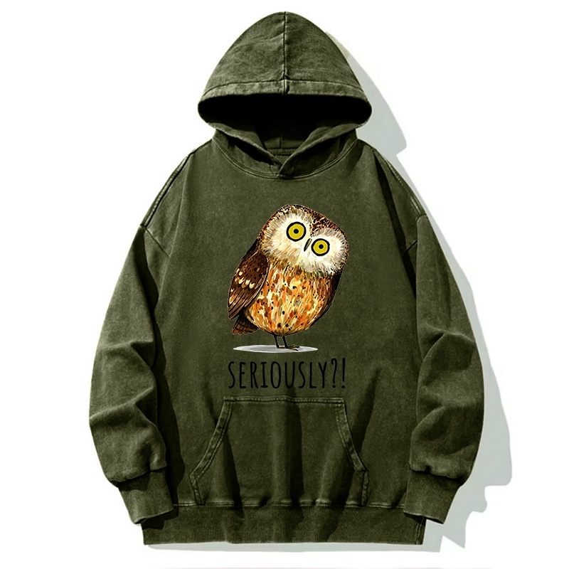 Tokyo-Tiger Seriously Confused Owl Meme Art Washed Hoodie
