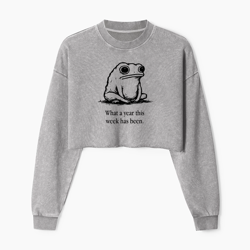 Tokyo-Tiger This Week Feels Like A Whole Year Washed Crop Sweatshirt