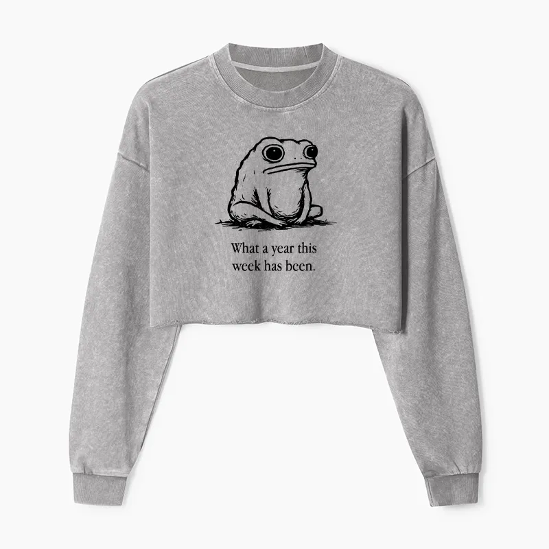 Tokyo-Tiger This Week Feels Like A Whole Year Washed Crop Sweatshirt Sale
