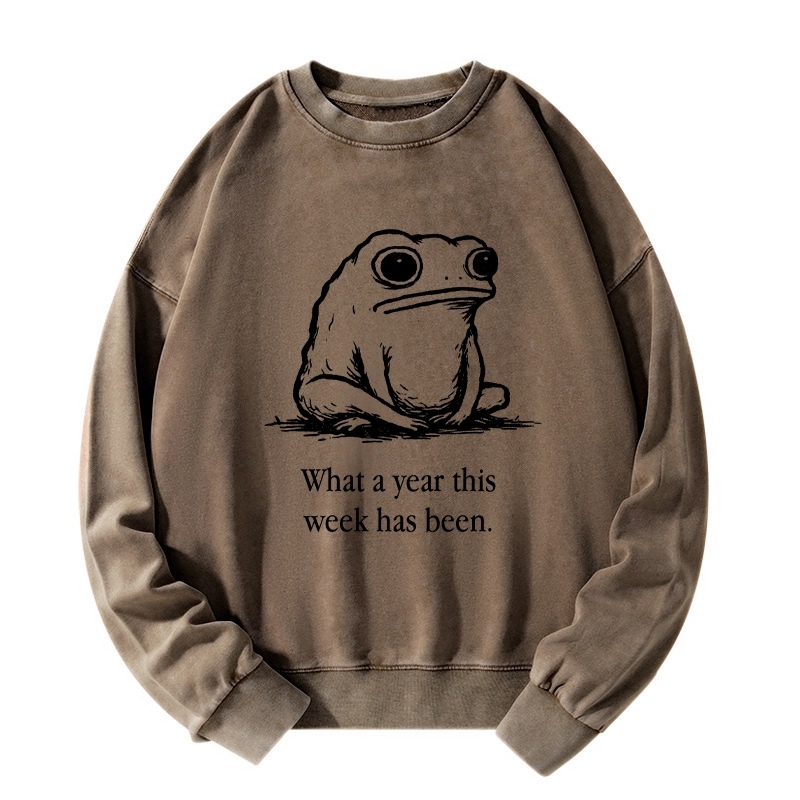 Tokyo-Tiger This Week Feels Like A Whole Year Washed Sweatshirt