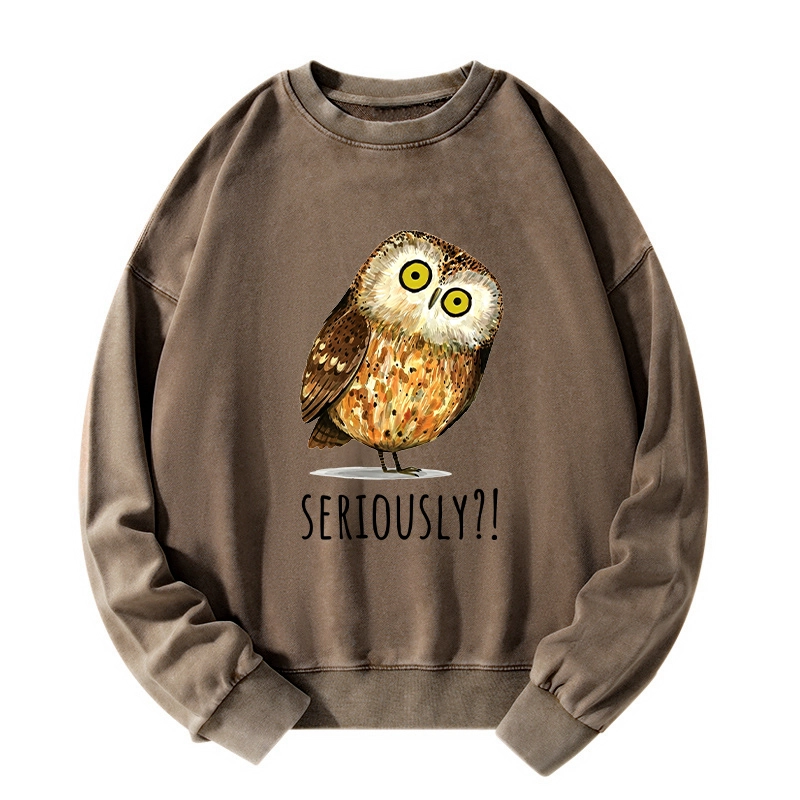 Tokyo-Tiger Seriously Confused Owl Meme Art Washed Sweatshirt