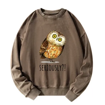 Tokyo-Tiger Seriously Confused Owl Meme Art Washed Sweatshirt
