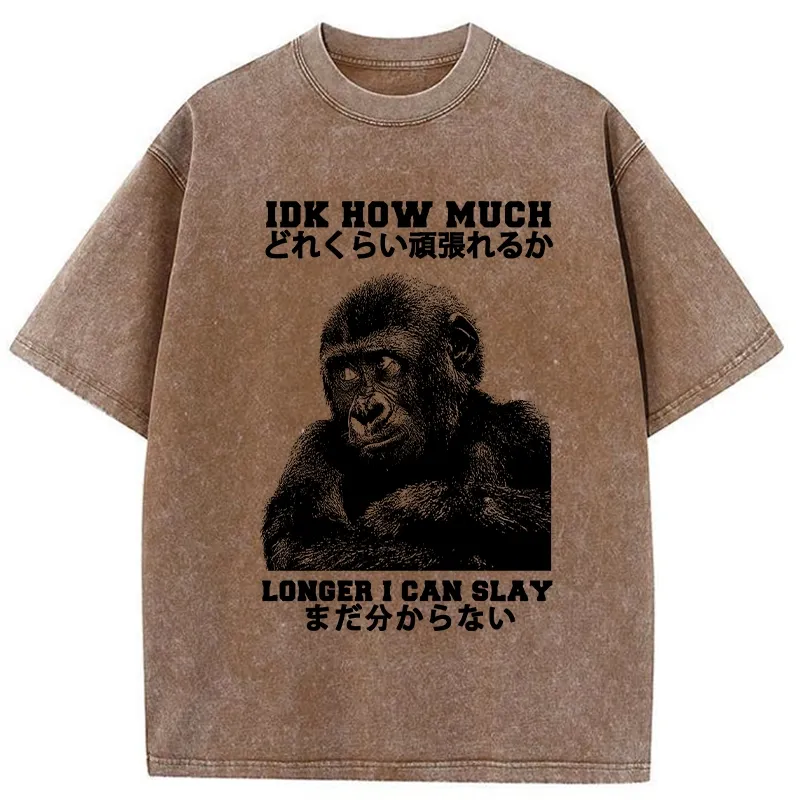 Tokyo-Tiger I Don't Know How Long I Can Slay Washed T-Shirt