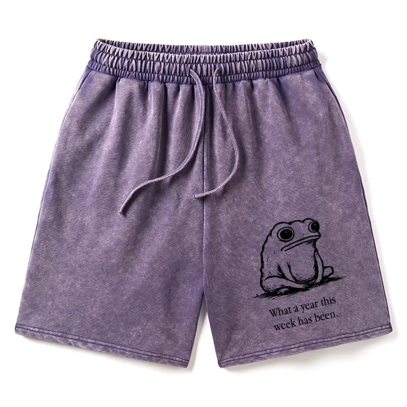 Tokyo-Tiger This Week Feels Like A Whole Year Washed Shorts