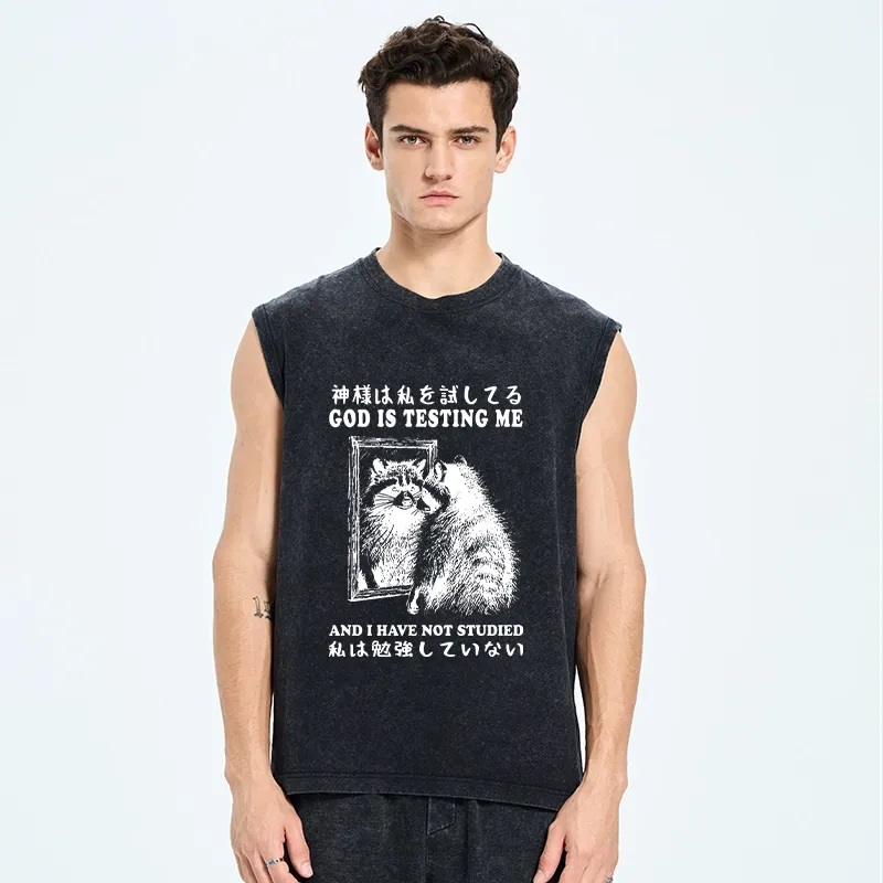 Tokyo-Tiger Raccoon Not Studied Washed Tank