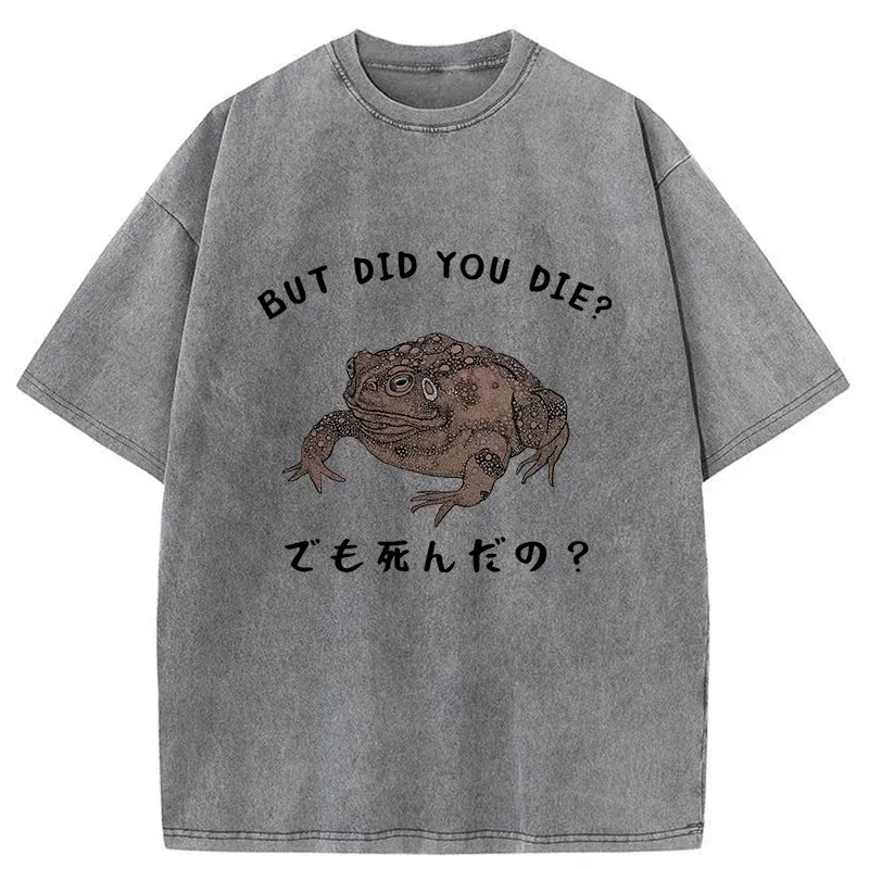 Tokyo-Tiger Question From Frog Funny Washed T-Shirt