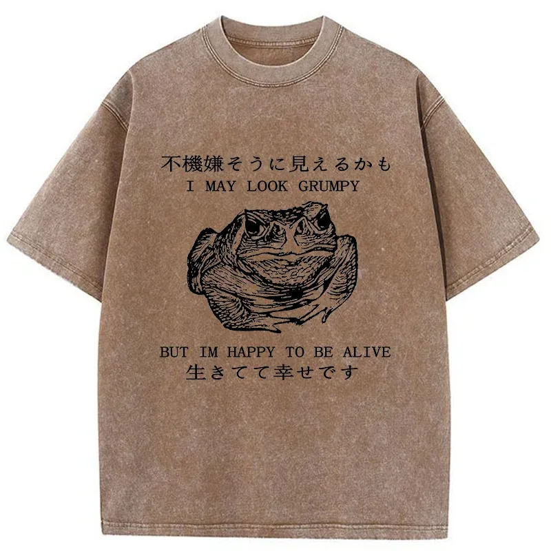 Tokyo-Tiger Emotionally Calm Frog Washed T-Shirt