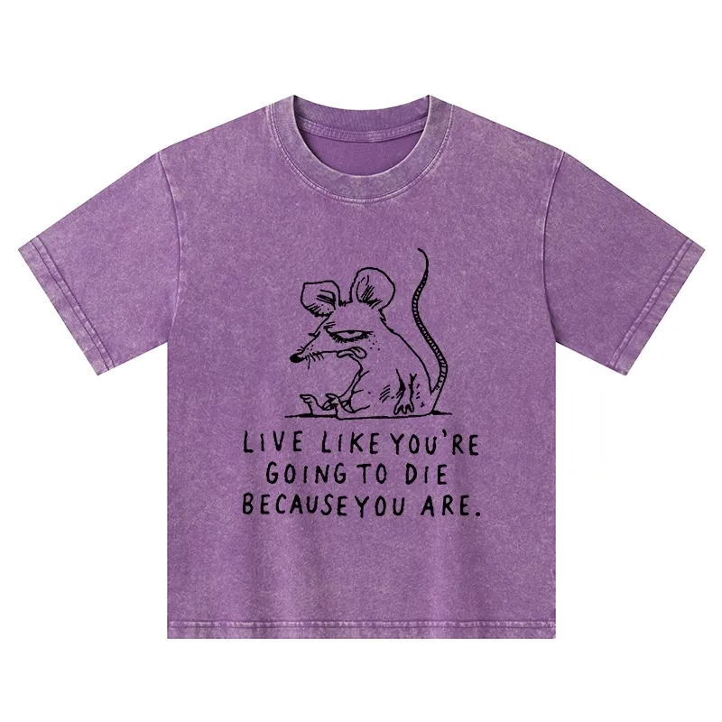Tokyo-Tiger Funny Meme Sarcastic Rat Life Truth Kids Washed T-Shirt