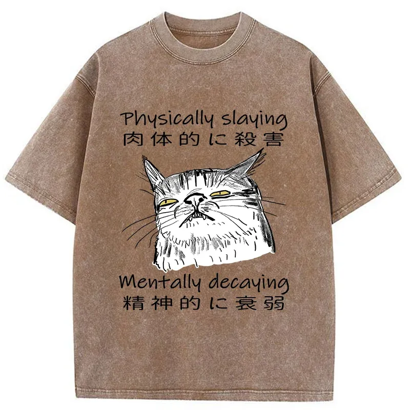 Tokyo-Tiger Physically Slaying Mentally Decaying Washed T-Shirt