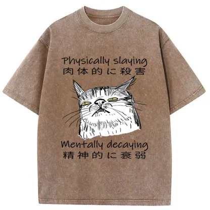 Tokyo-Tiger Physically Slaying Mentally Decaying Washed T-Shirt