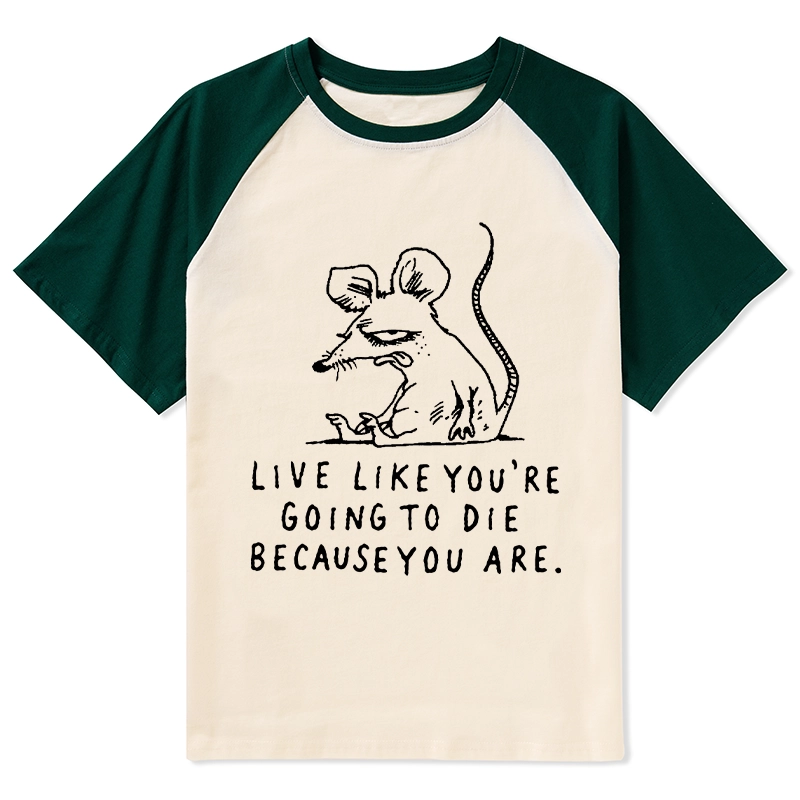 Tokyo-Tiger Funny Meme Sarcastic Rat Life Truth Raglan T-shirt