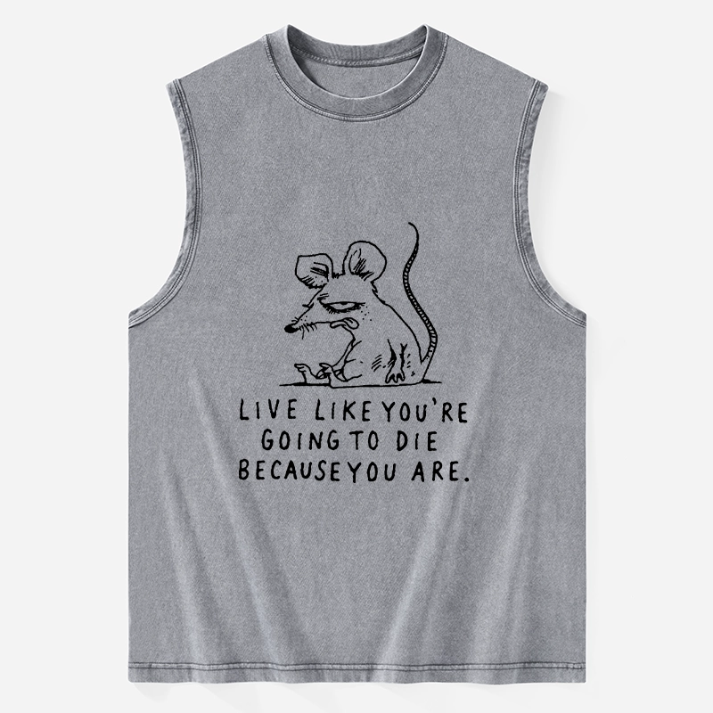 Tokyo-Tiger Funny Meme Sarcastic Rat Life Truth Washed Tank