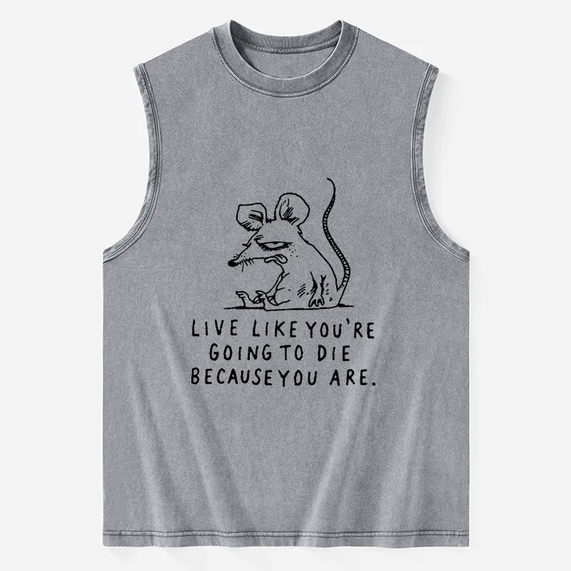Tokyo-Tiger Funny Meme Sarcastic Rat Life Truth Washed Tank