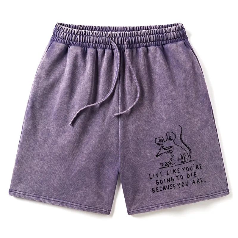 Tokyo-Tiger Funny Meme Sarcastic Rat Life Truth Washed Shorts