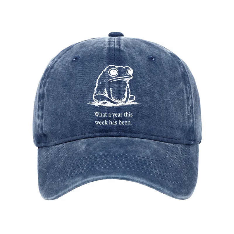 Tokyo-Tiger This Week Feels Like A Whole Year Washed Cap