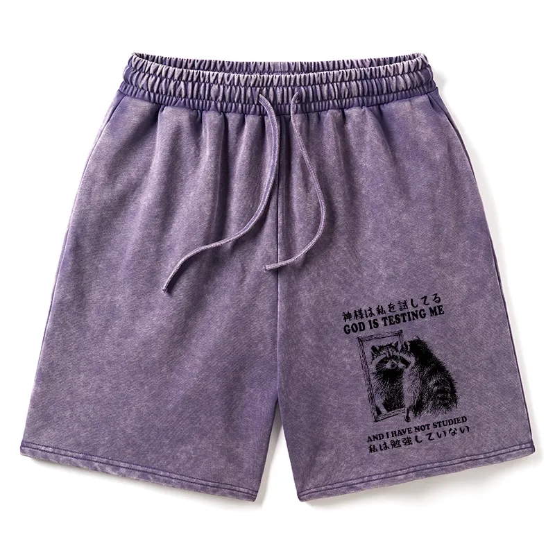 Tokyo-Tiger Raccoon Not Studied Washed Shorts