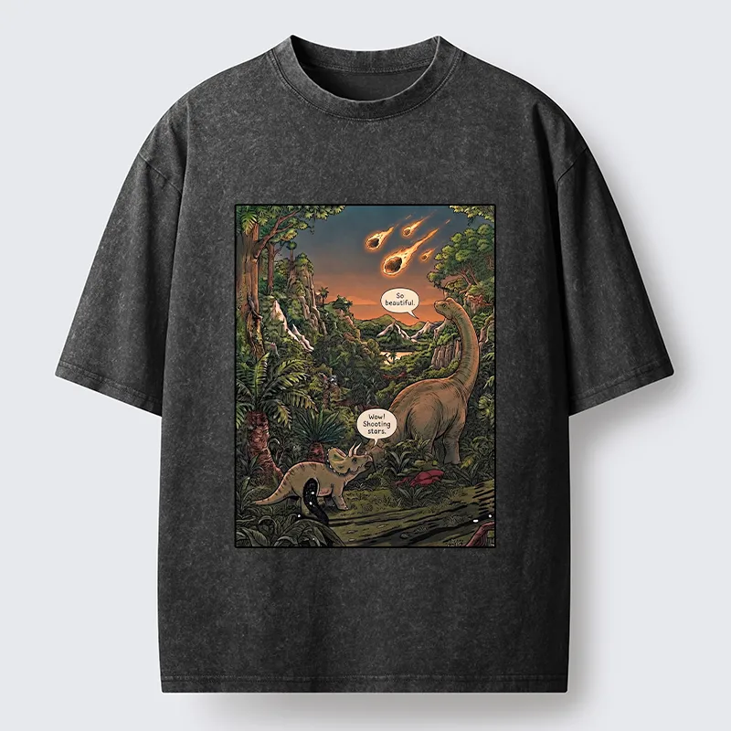 Tokyo‑Tiger Meteor Disaster Funny Washed T-Shirt