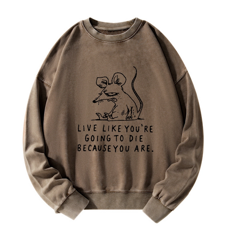 Tokyo-Tiger Funny Meme Sarcastic Rat Life Truth Washed Sweatshirt