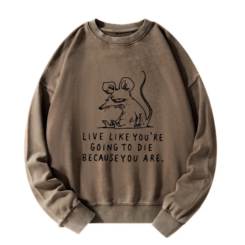 Tokyo-Tiger Funny Meme Sarcastic Rat Life Truth Washed Sweatshirt