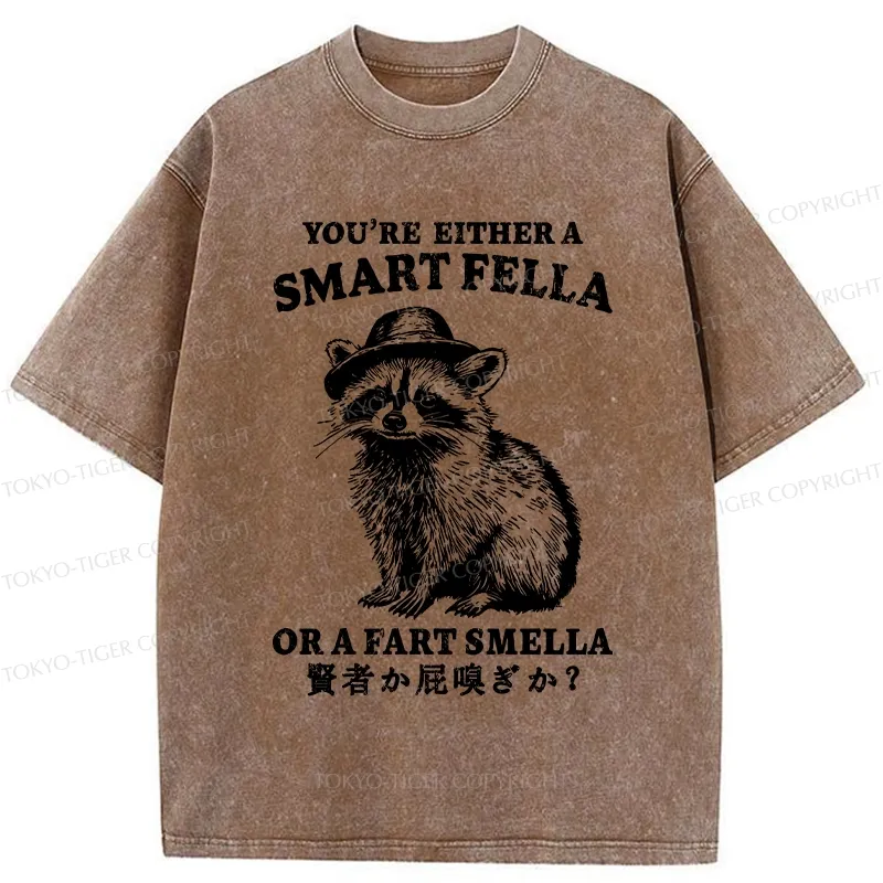 Tokyo-Tiger Sage Or Fart-sniffer Washed T-Shirt