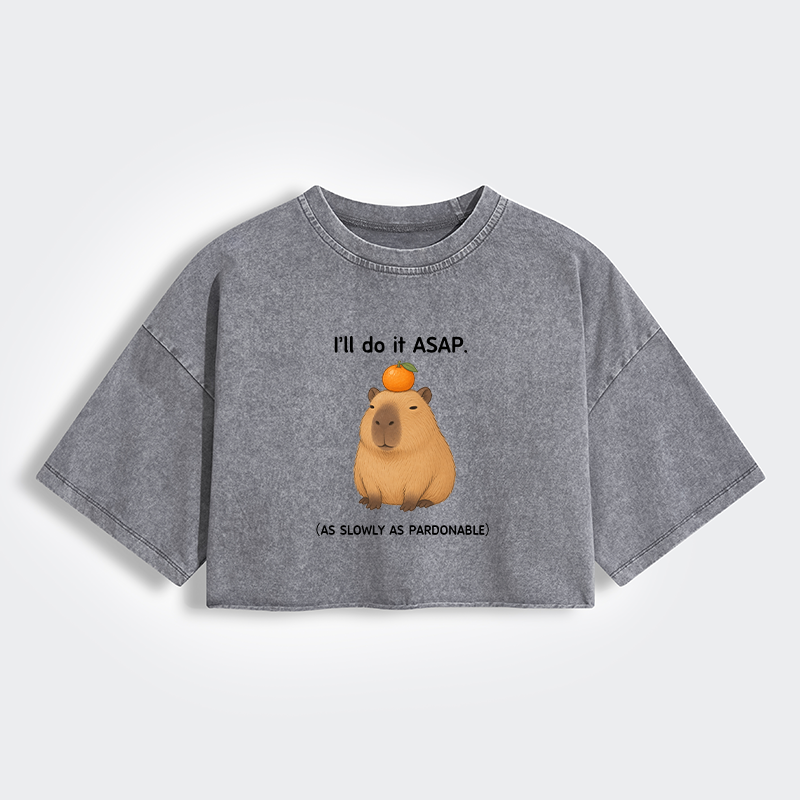 Tokyo-Tiger Slow Task Capybara Meme Women's Washed Crop T-Shirt