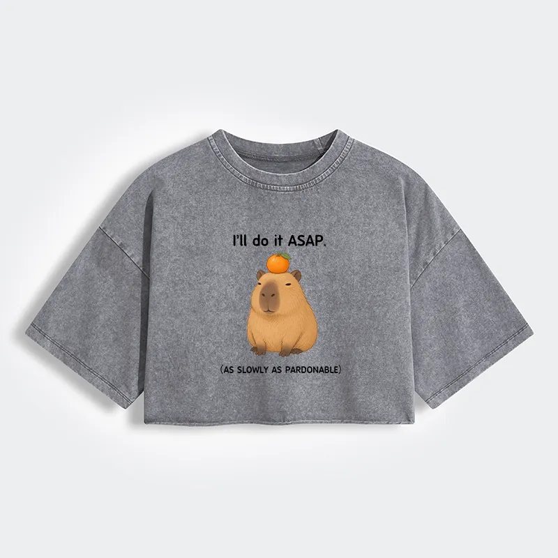 Tokyo-Tiger Slow Task Capybara Meme Women's Washed Crop T-Shirt