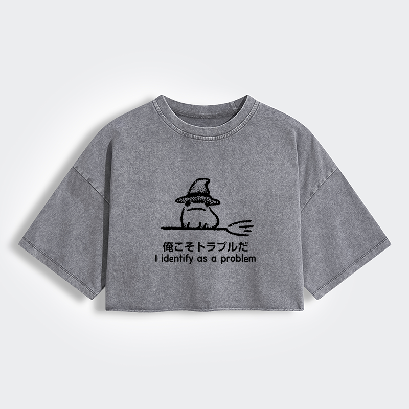Tokyo-Tiger Mischief Magic Dude Women's Washed Crop T-Shirt