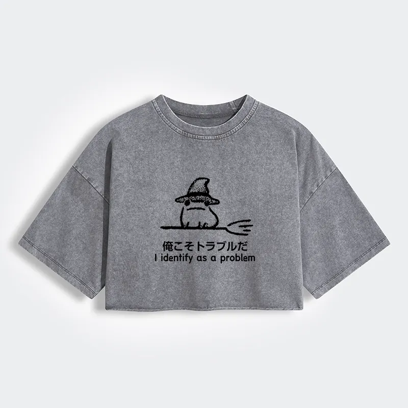 Tokyo-Tiger Mischief Magic Dude Women's Washed Crop T-Shirt Sale